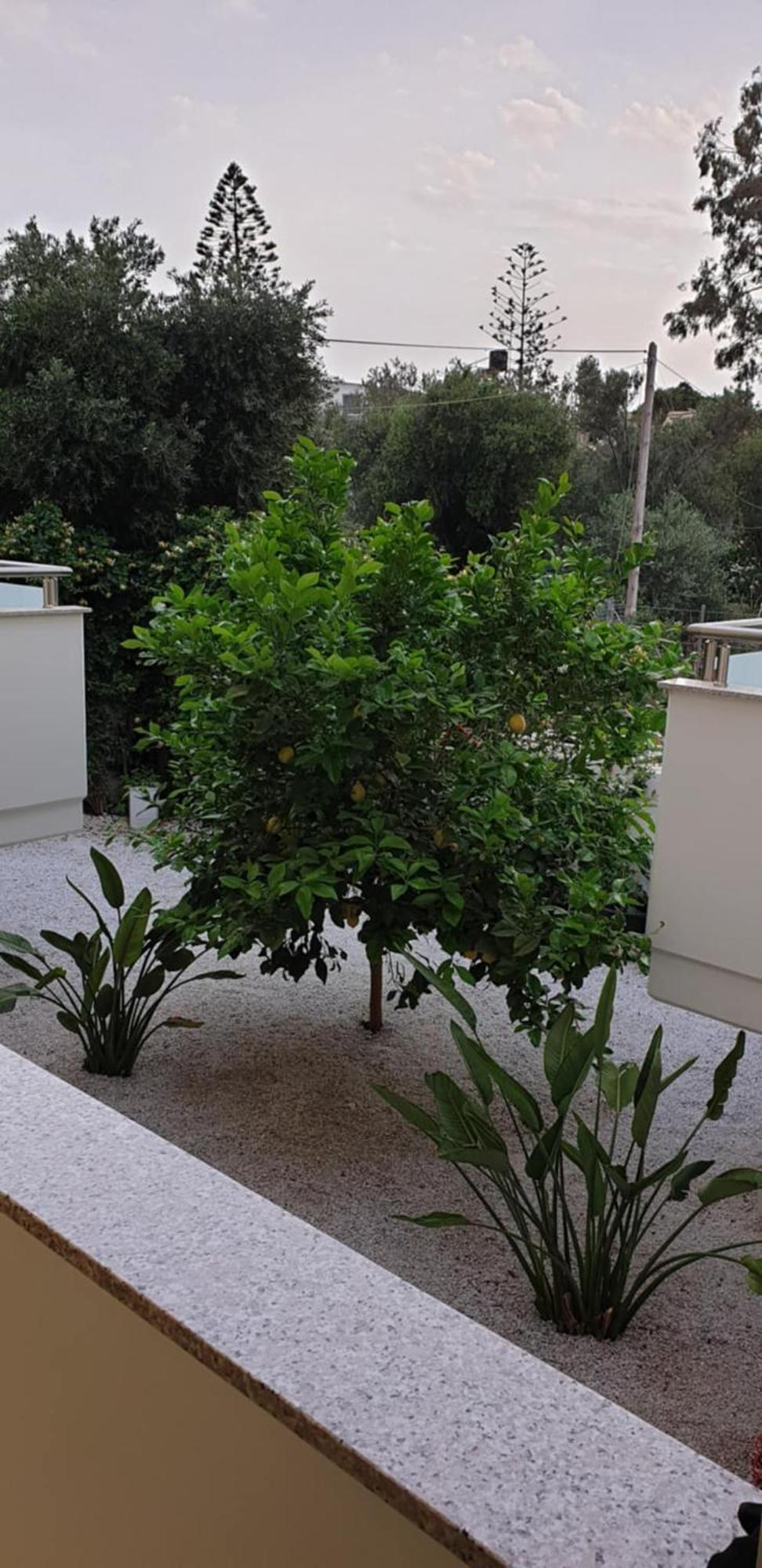 Evriali Comfort Living Aparthotel *